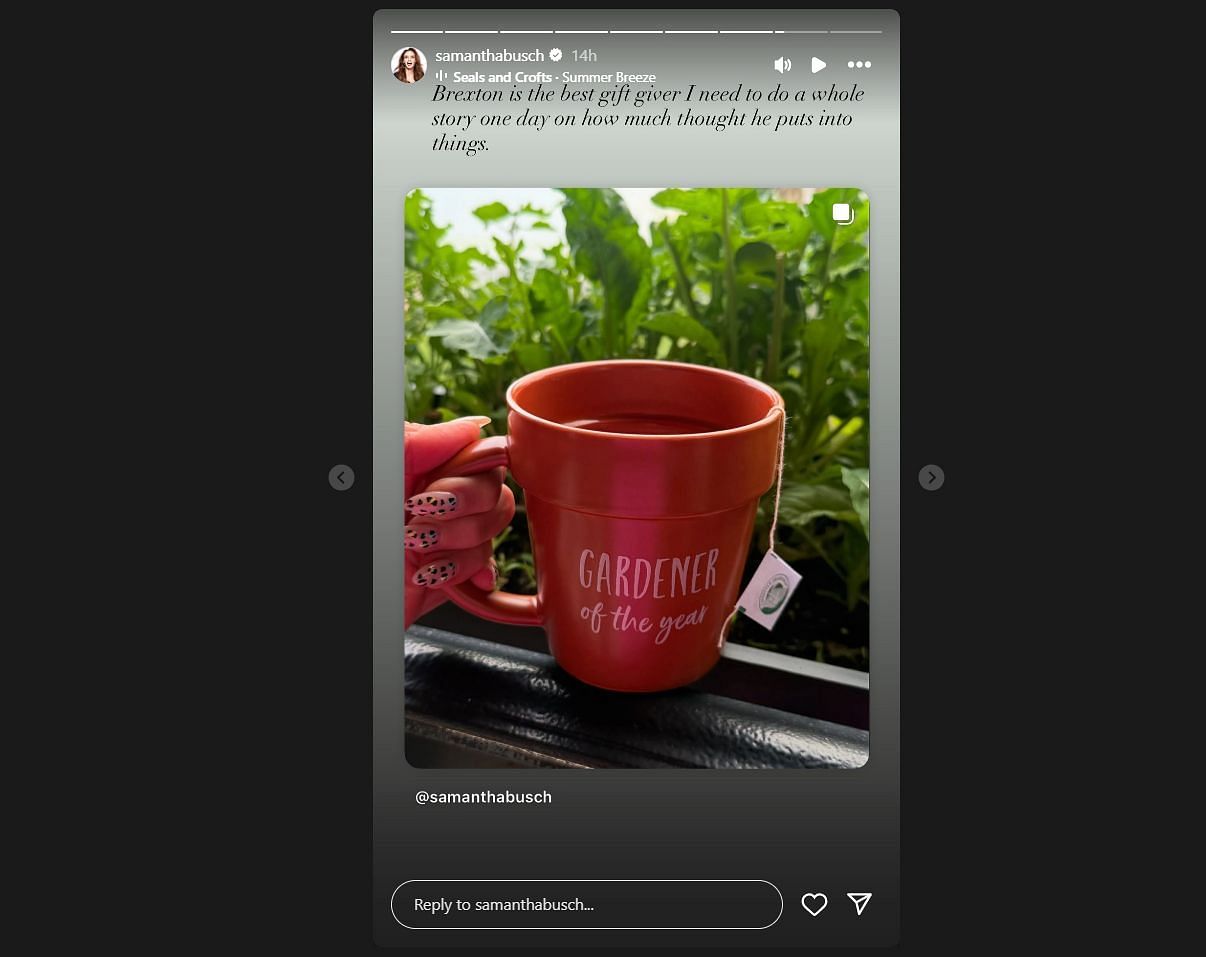Kyle Busch's wife, Samantha Busch, shares their son, Brexton's garden mug gift on her story - Source: via @samanthabusch on Instagram